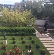 关于清晨国王杯传出新动向，波士顿凯尔特人造点机会，管理层表态——话题不断，心理建设被强调的信息